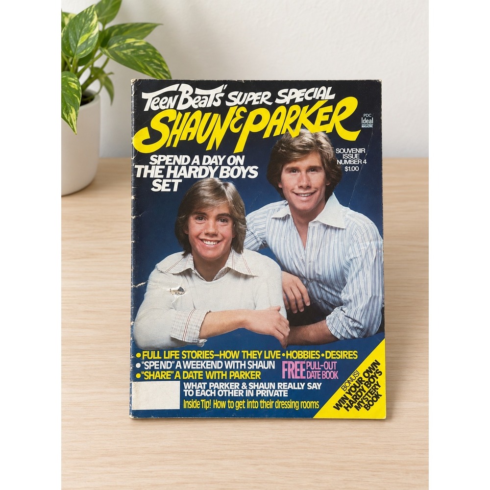 Vintage Teen Beat Super Special Shaun & Parker Hardy Boys Magazine Pull-Out 70s